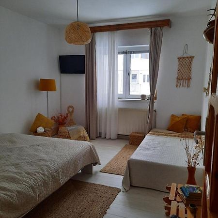 Cocooning In A Lovely Mountain Suite - Two Azuga Exteriér fotografie